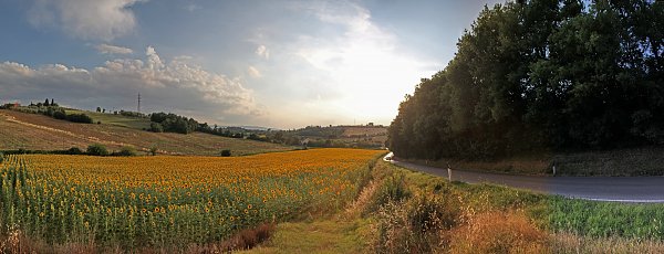 Landstrasse Toscana