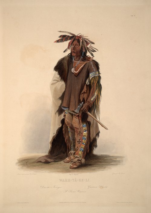 Karl Bodmer Ein Sioux Krieger Wandbild