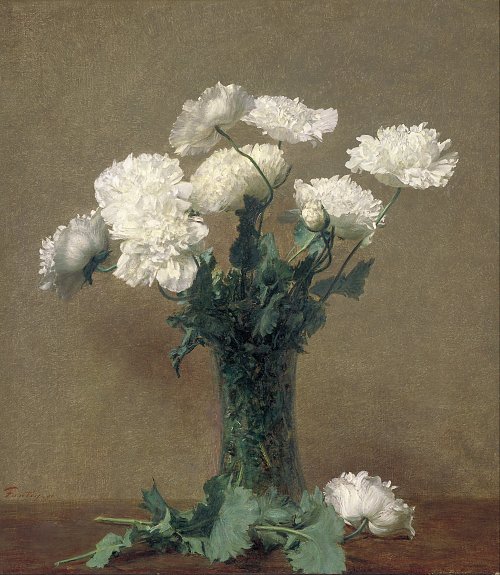 Henri Fantin Latour Poppies Wandbild