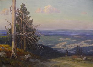 Arnold Lyongruen Blick vom Feldberg im Schwarzwald