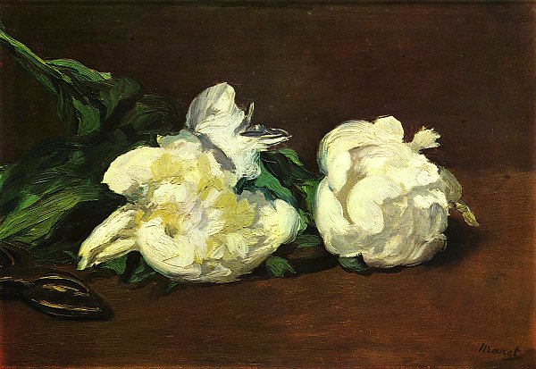 Edouard Manet Stillleben weisse Pfingstrosen Wandbild