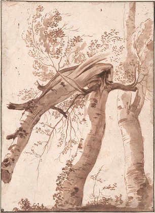 Nicolas Poussin Two Silver Birches the Front One Fallen Wandbild