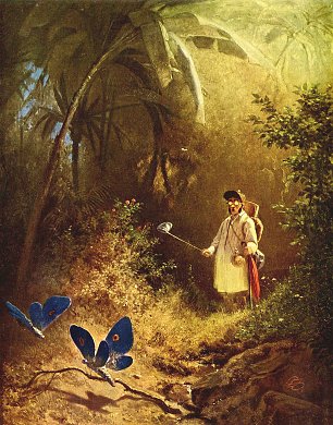 Carl Spitzweg Der Schmetterlingsfaenger Wandbilder 
