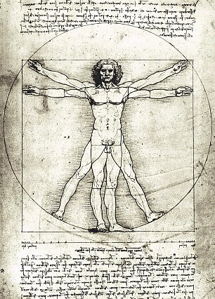 Leonardo Da Vinci Proportionsstudie nach Vitruv Wandbilder 