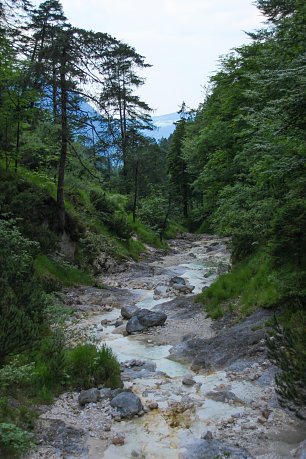 Bach am Wald Wandbild