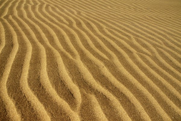 Goldener Sand Wandbild