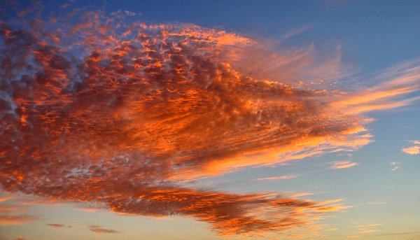 Rotes Licht Wandbild