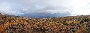 Terrassen La Gomera Wandbild