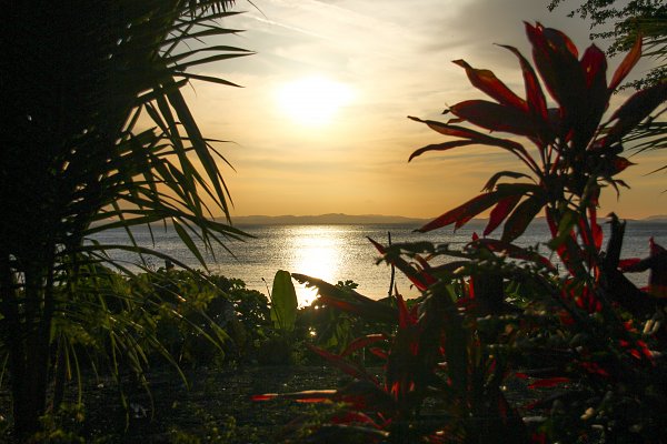 Blick zum See am Abend Wandbild