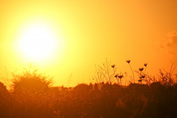 Abendsonne Wandbild