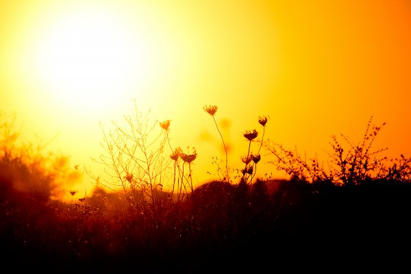 Gluehender Himmel Wandbild