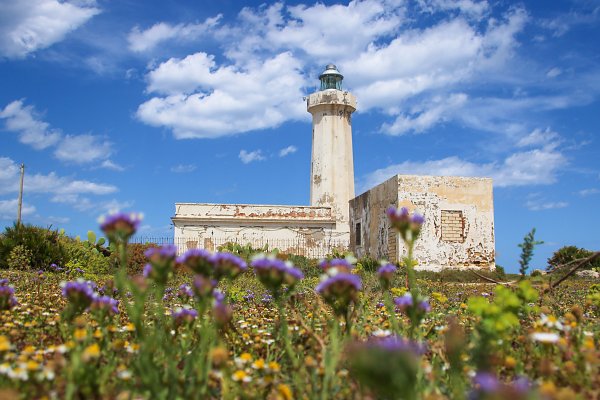 Blumenwiese am alten Leuchtturm Wandbild