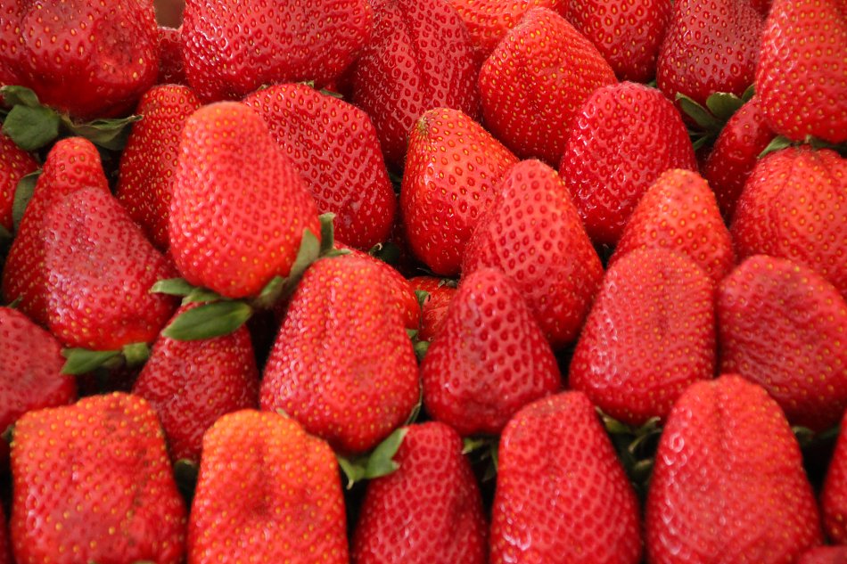 kaufen Erdbeeren Wandbild
